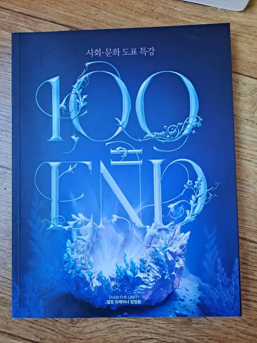 임정환 사회문화 도표특강 100END